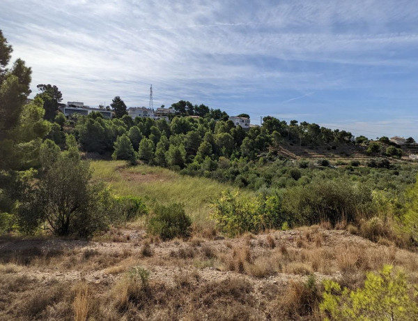 Terreno en venta en calle Principal