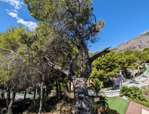 Terreno en venta en calle Mestre Música