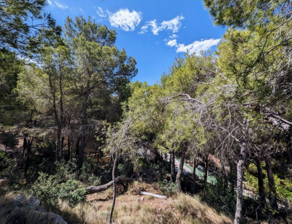 Terreno en venta en calle Mestre Música