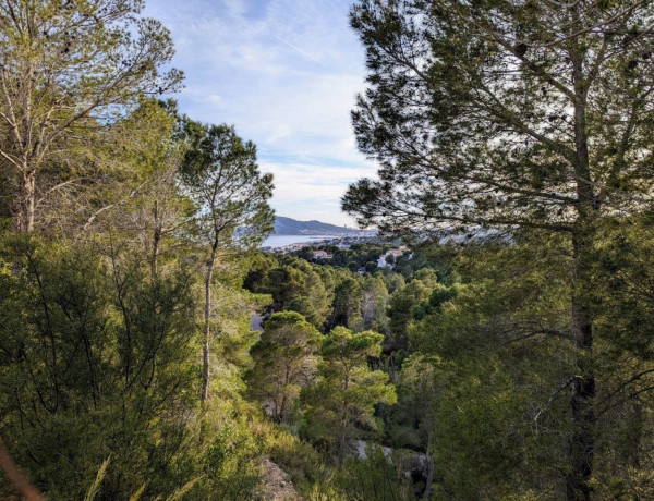 Terreno en venta en calle la Guatla