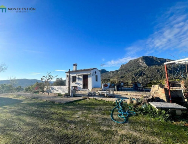 Finca rústica en venta en La Vega