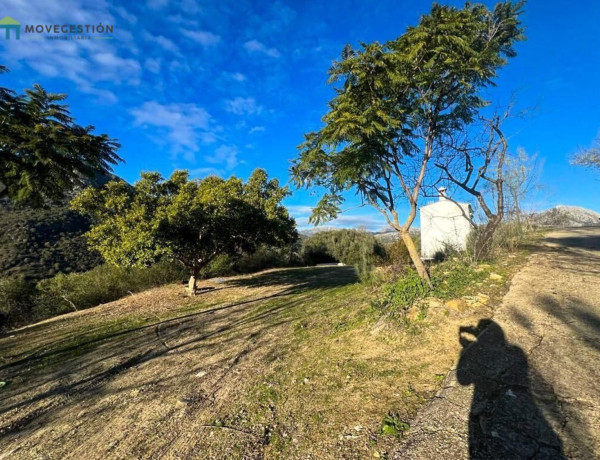 Finca rústica en venta en La Vega