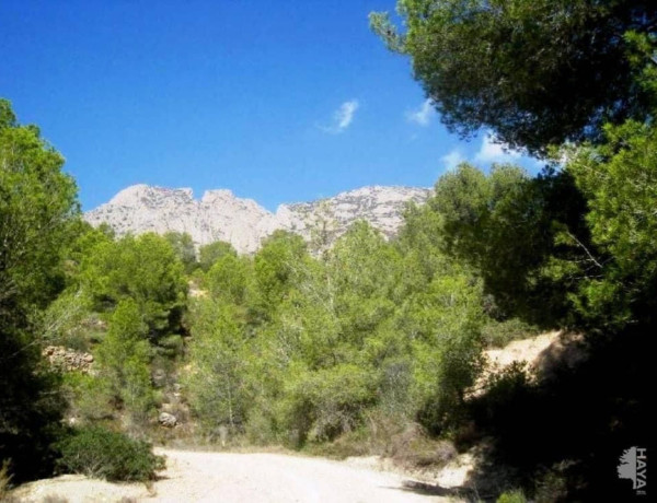 Terreno en venta en glorieta de los Carrascos