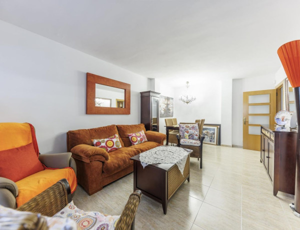 Piso en venta en calle Francesc Artau, 14