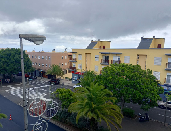 Alquiler de Piso en avenida Los Majuelos