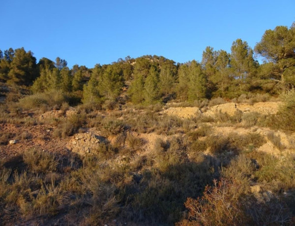 Terreno en venta en Mora d'Ebre