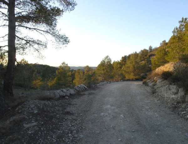 Terreno en venta en Mora d'Ebre