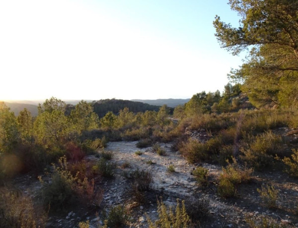 Terreno en venta en Mora d'Ebre