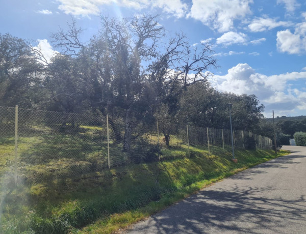 Terreno en venta en San Roman de los Montes