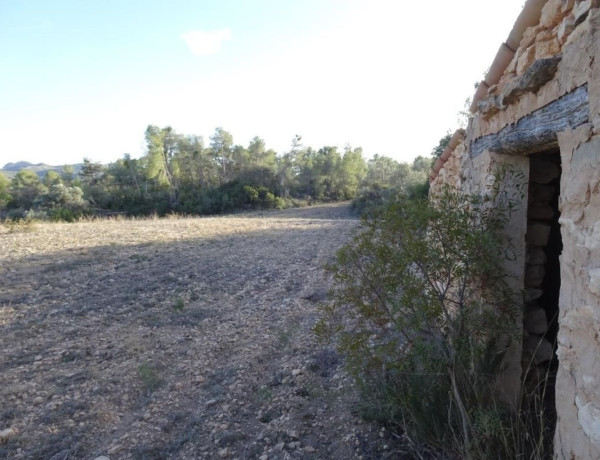 Terreno en venta en Asco