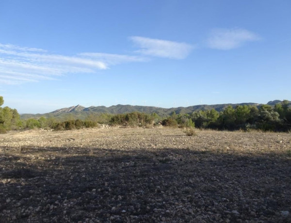 Terreno en venta en Asco