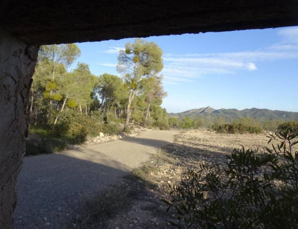 Terreno en venta en Asco