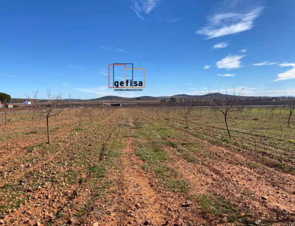 Terreno en venta en Valdepeñas