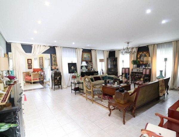 Casa o chalet independiente en venta en avenida Pino del p C