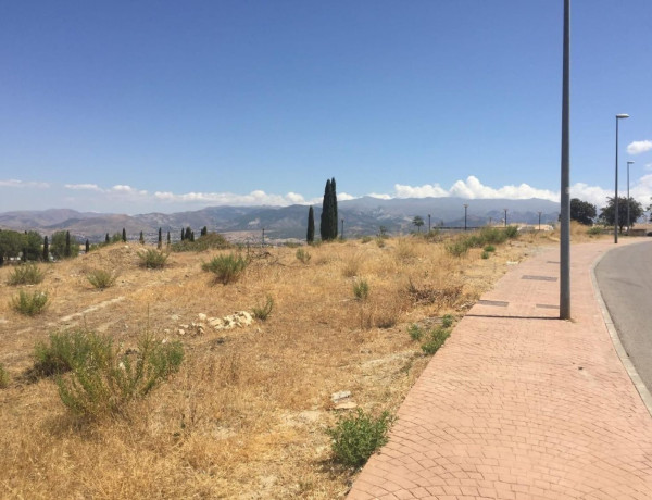 Terreno en venta en paseo Pedro Verde