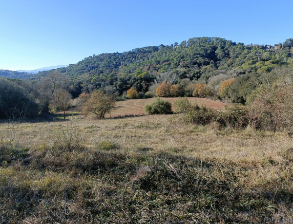 Finca rústica en venta en calle de Sant Daniel