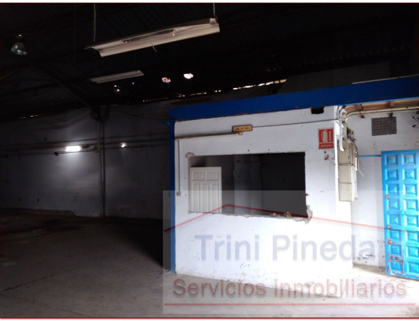 Alquiler de Nave en calle Pino Macedonio, 16