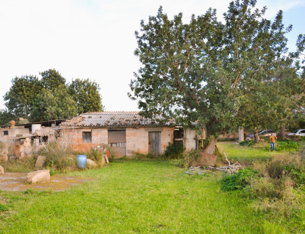 Finca rústica en venta en Lugar Poligono 11