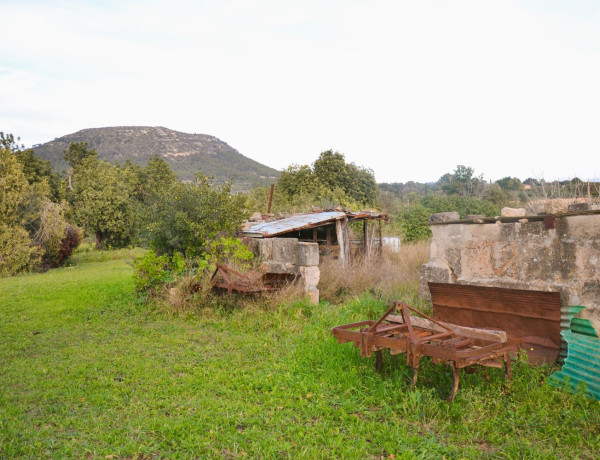 Finca rústica en venta en Lugar Poligono 11