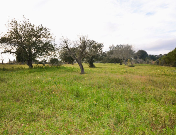 Finca rústica en venta en Lugar Poligono 11