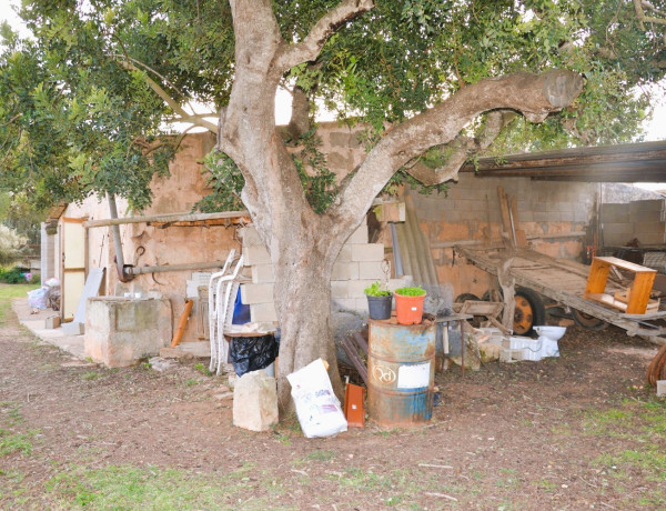 Finca rústica en venta en Lugar Poligono 11