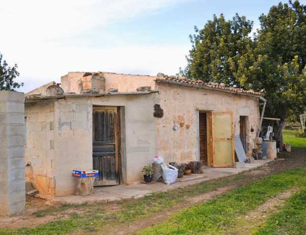 Finca rústica en venta en Lugar Poligono 11