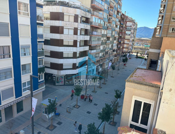 Piso en venta en avenida Passeig Dr. Alemany