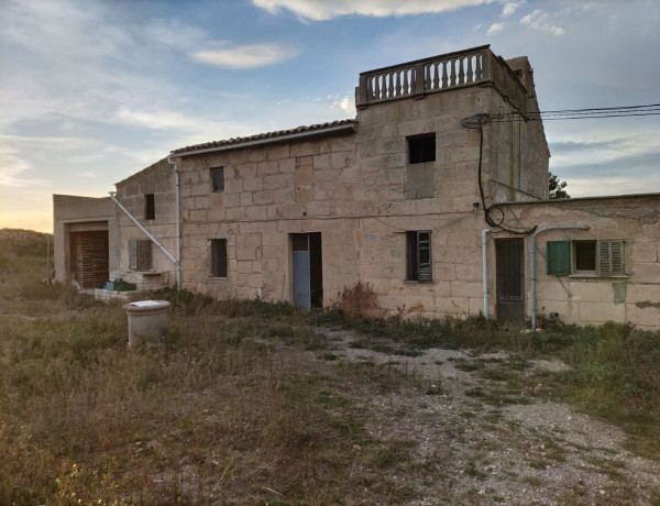 Finca rústica en venta en Porto Cristo