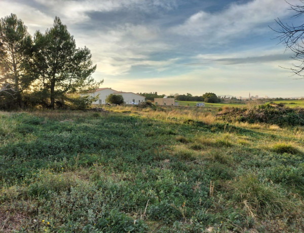 Finca rústica en venta en Porto Cristo