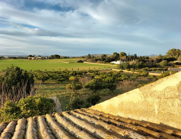 Finca rústica en venta en Porto Cristo