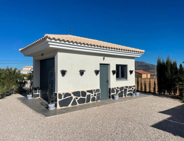 Casa o chalet independiente en venta en Pinoso