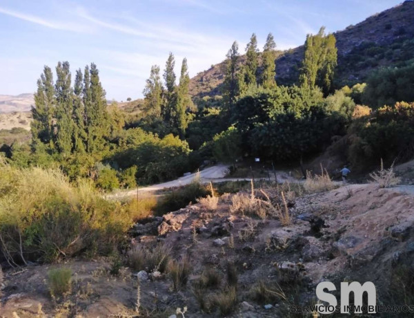 Terreno en venta en Zahara