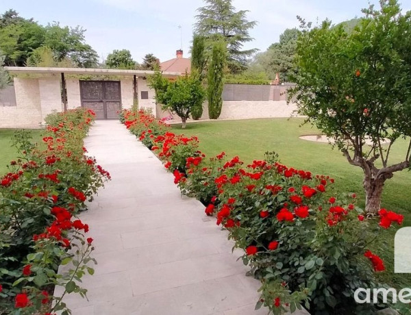 Casa o chalet independiente en venta en Urb. Ciudalcampo, Ciudalcampo