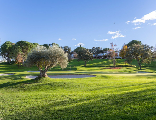 Casa o chalet independiente en venta en Urb. Ciudalcampo, Ciudalcampo