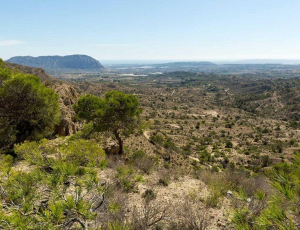 Casa o chalet independiente en venta en Pedanías Oeste