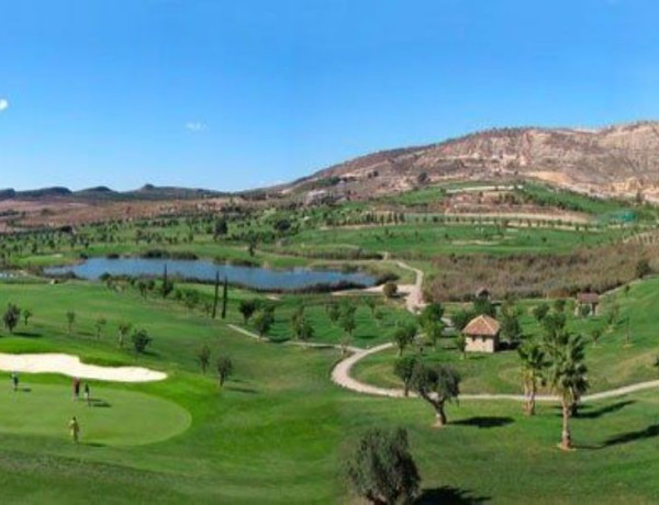 Casa o chalet independiente en venta en Algorfa