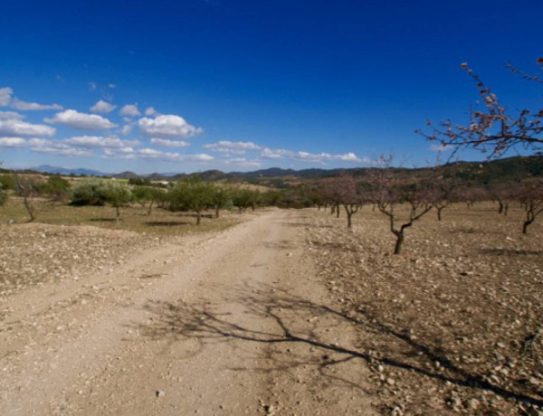 Terreno en venta en Zarcilla de Ramos-Doña Inés