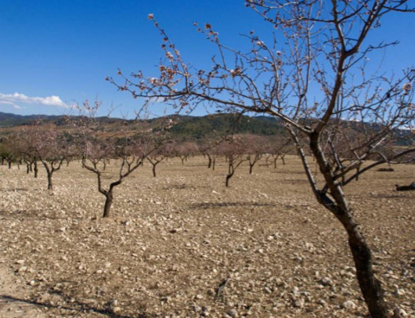 Terreno en venta en Zarcilla de Ramos-Doña Inés