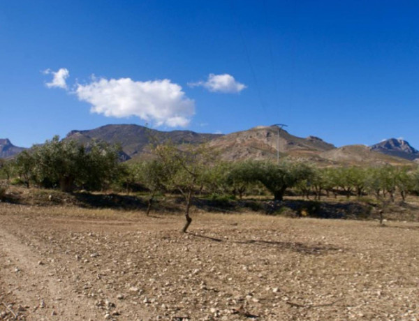 Terreno en venta en Zarcilla de Ramos-Doña Inés