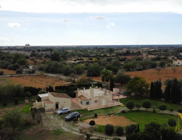 Finca rústica en venta en Llucmajor Interior