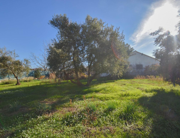 Finca rústica en venta en Gojar