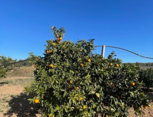 Terreno en venta en Mas Bessó s/n