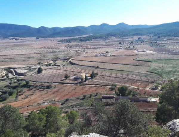 Terreno en venta en Campo de Ricote, km 18