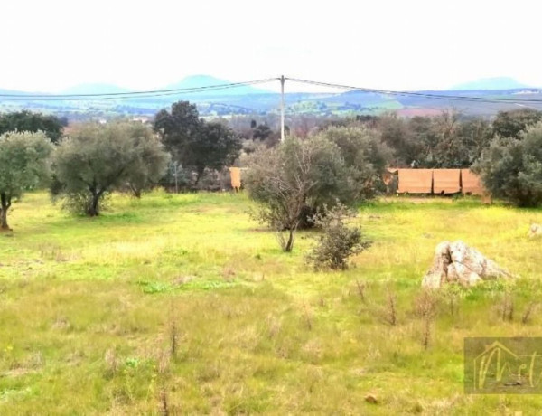 Finca rústica en venta en Don Alvaro