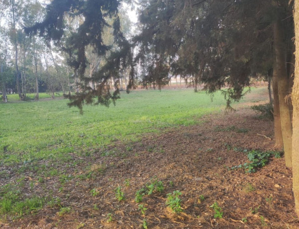 Terreno en venta en Barrio Nuevo