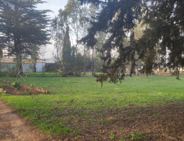 Terreno en venta en Barrio Nuevo