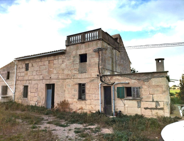 Finca rústica en venta en Porto Cristo