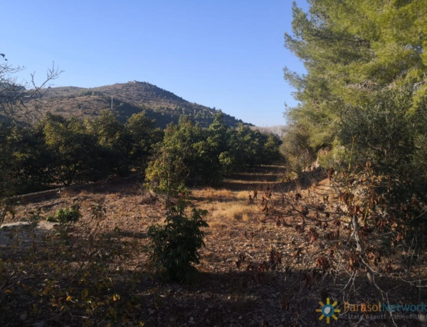 Finca rústica en venta en Pego