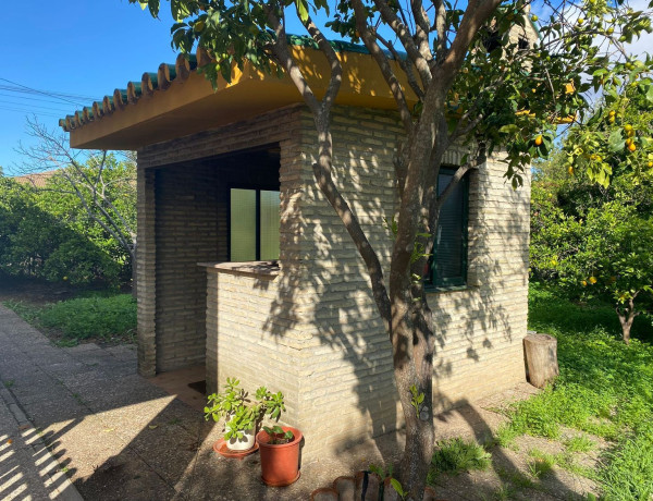 Casa o chalet independiente en venta en Carretera de Sevilla a Utrera