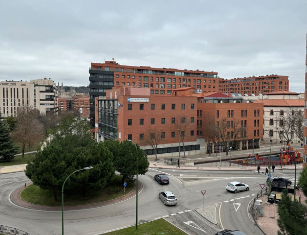 Alquiler de Piso en calle de Calleja y Zurita, 2